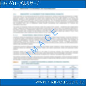 市場と産業調査レポートのイメージ